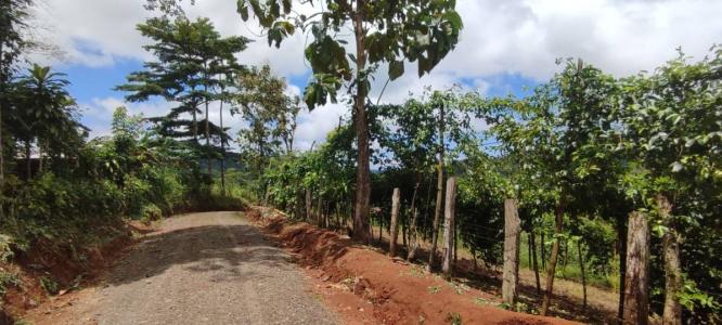 Bijagual Carara Turrubáres, San José 61105, 哥斯達尼加