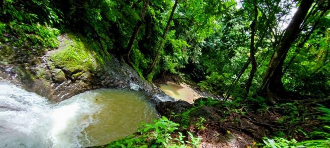 Parrita Parrita, Puntarenas 00001, Costa Rica