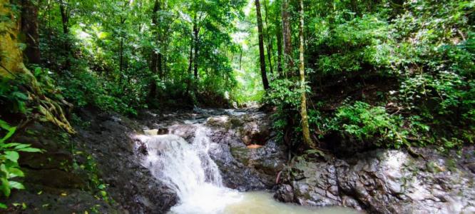 Parrita Parrita, Puntarenas 00001, Costa Rica