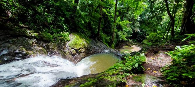 Parrita Parrita, Puntarenas 00001, Costa Rica