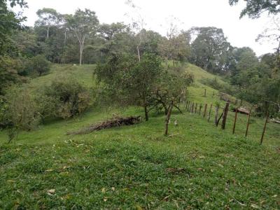 Bijagual Carara Turrubáres, San José 61105, コスタリカ