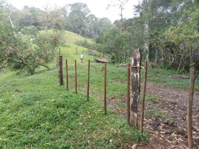 Bijagual Carara Turrubáres, San José 61105, コスタリカ