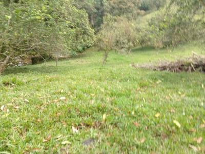 Bijagual Carara Turrubáres, San José 61105, コスタリカ