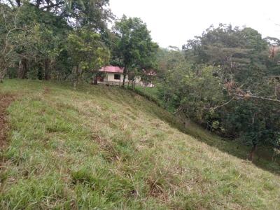 Bijagual Carara Turrubáres, San José 61105, 哥斯達尼加