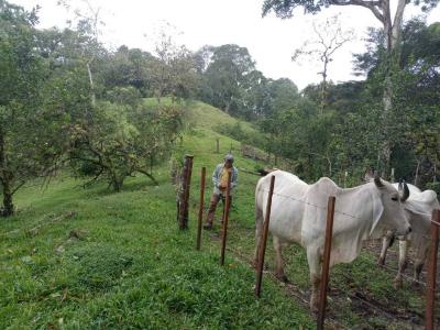 Bijagual Carara Turrubáres, San José 61105, 哥斯達尼加