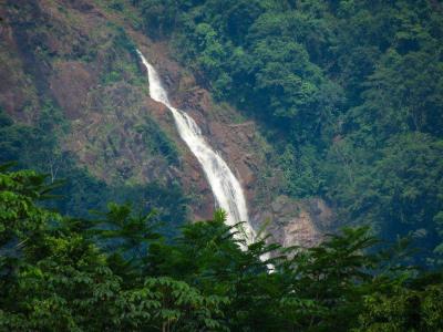 Camaronal Tárcoles Garabito, Puntarenas 61105, Costa Rica