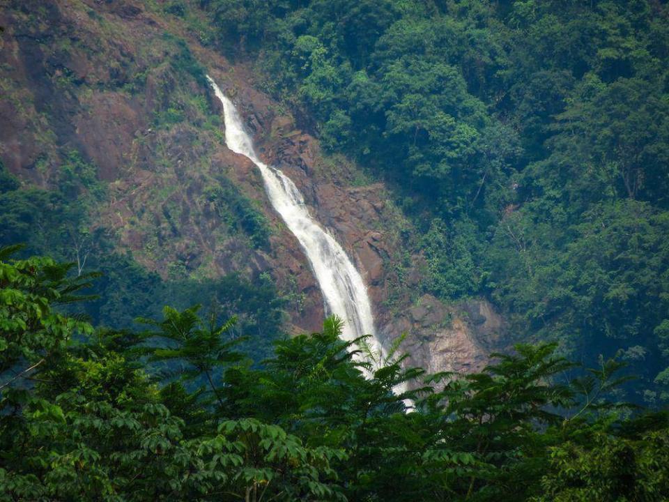 Camaronal Tárcoles Garabito, Puntarenas 61105, Costa Rica