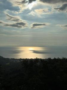 Camaronal Tárcoles Garabito, Puntarenas 61105, Costa Rica