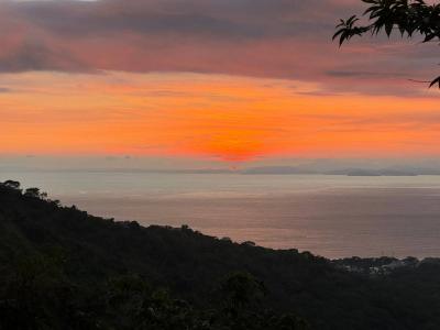 Camaronal Tárcoles Garabito, Puntarenas 61105, Costa Rica