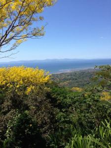 Camaronal Tárcoles Garabito, Puntarenas 61105, Costa Rica