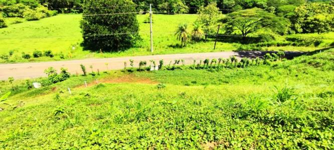 Punta Leona Tárcoles Garabito, Puntarenas 61105, Kostaryka