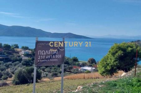 Salamina, Argosaronikos islands, Greece
