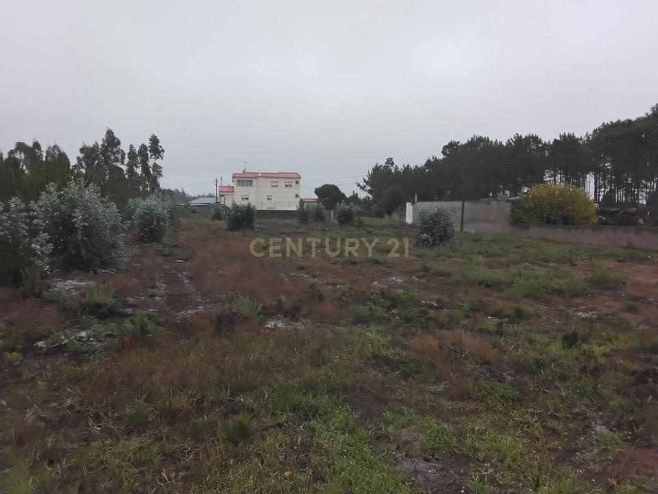 Pombal, Leiria 3105-420, Portugalia