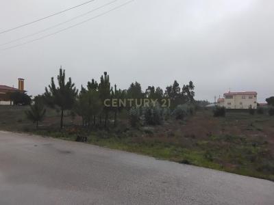 Pombal, Leiria 3105-420, Portugalia