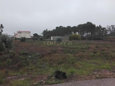 Pombal, Leiria 3105-420, Portugalia