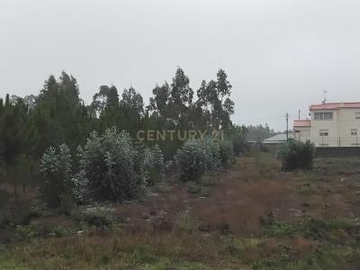 Pombal, Leiria 3105-420, Portugalia