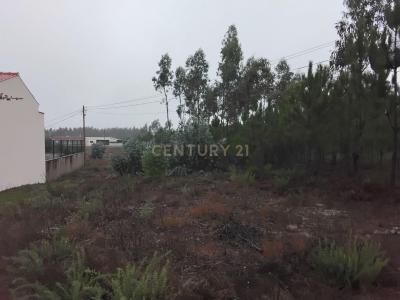 Pombal, Leiria 3105-420, Portugalia