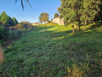 Espinho, 아베이루 4500-197, 포르투갈