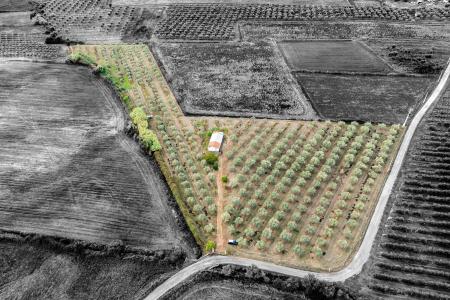 Sousel, Portalegre 7470-111, Portugal