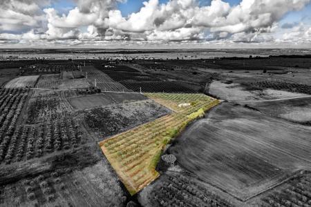 Sousel, Portalegre 7470-111, Portugal