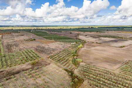 Sousel, Portalegre 7470-111, Portugal