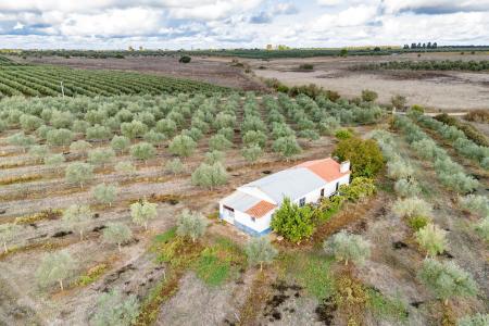 Sousel, Portalegre 7470-111, Portugal