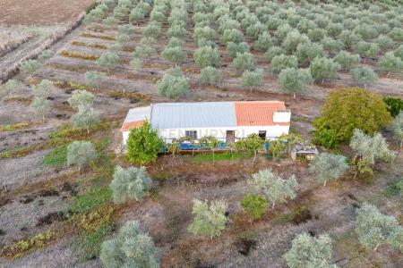 Sousel, Portalegre 7470-111, Portugal