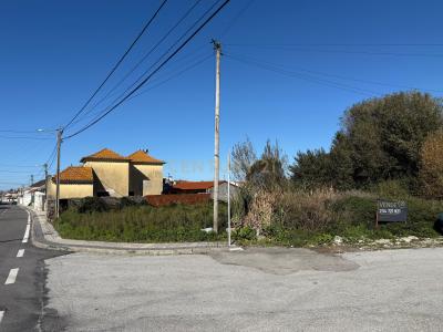 Ílhavo, Aveiro 3810-833, Portugal