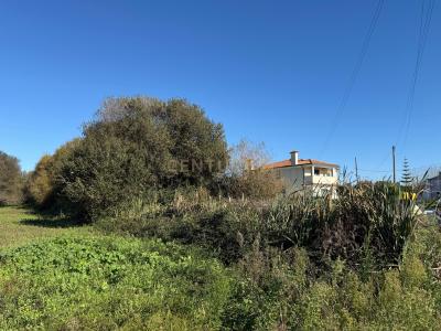 Ílhavo, Aveiro 3810-833, Portugal