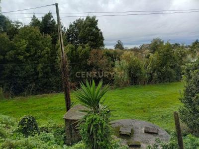 Aveiro, Aveiro 3800-597, Portugal