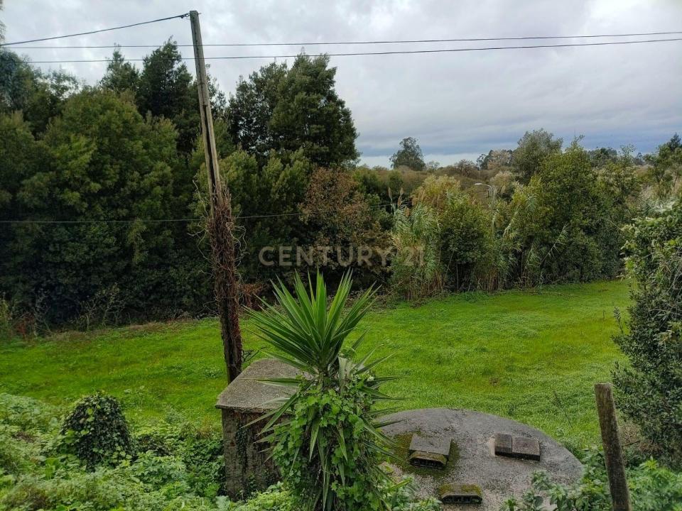 阿威羅, 阿威羅 3800-597, 葡萄牙