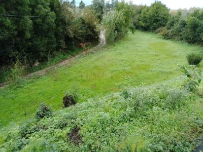 阿威羅, 阿威羅 3800-597, 葡萄牙