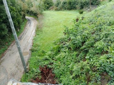 阿威羅, 阿威羅 3800-597, 葡萄牙