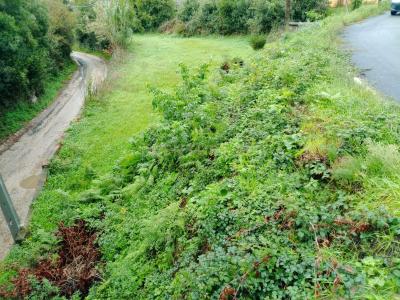 阿威羅, 阿威羅 3800-597, 葡萄牙