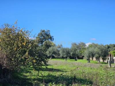 Castelo Branco, Castelo Branco 6005-001, Portugal