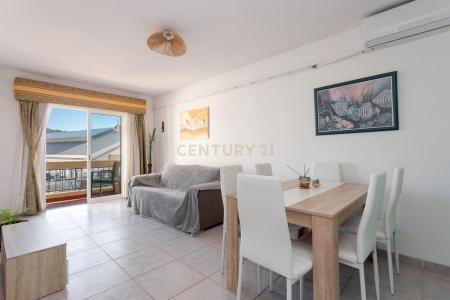 Silves, Faro 8300-157, Portugal