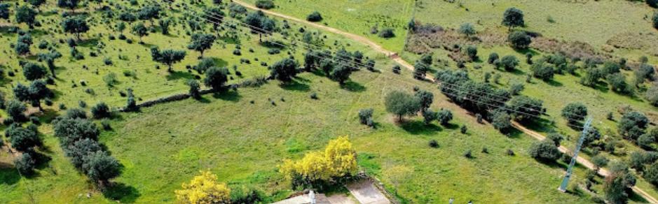 Cáceres, Estremadura 10195, Espanha