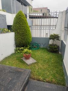 La Española Urb Lomas de la Molina Vieja , Lima, Lima 00001, Peru