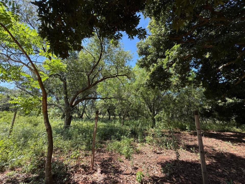 Yuquyry , Luque, מרכזי 00001, פרגוואי