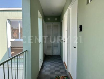 Cedro 328 - 3 C,, Cuauhtémoc, Ciudad De México 06400, México