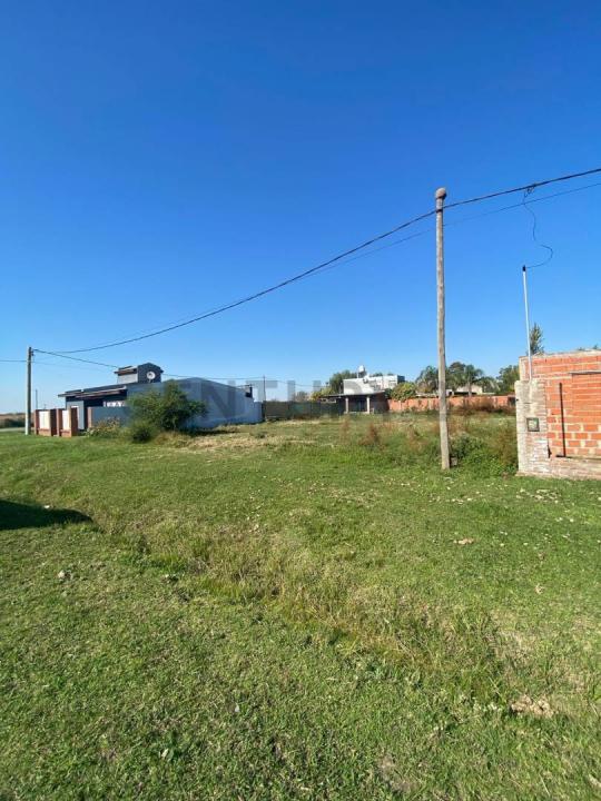 El Fogon 6500, Alvear, Санта-Фе 2000, Аргентина