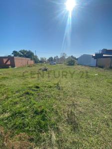 El Fogon 6500, Alvear, Санта-Фе 2000, Аргентина