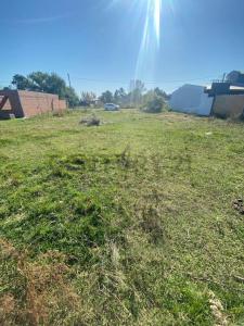 El Fogon 6500, Alvear, Санта-Фе 2000, Аргентина