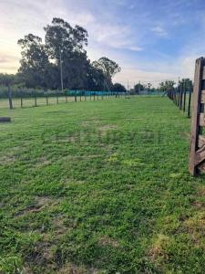 CLUB DE CAMPO SAN EDUARDO , Merlo, GBA Oeste 1722, Argentina