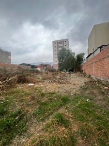 Zona Arocagua -Calle Panama , Este, Cochabamba, Bolivia