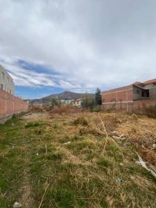 Zona Arocagua -Calle Panama , Este, Cochabamba, Bolivia