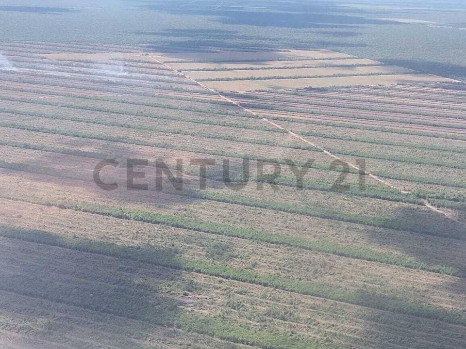 Este, Santa Cruz 0000, Bolivia