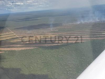 Este, Santa Cruz 0000, Bolivia