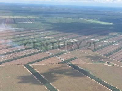 Este, Santa Cruz 0000, Bolivia