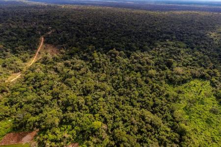 Ñuflo De Chávez, Santa Cruz 0000, Bolivia
